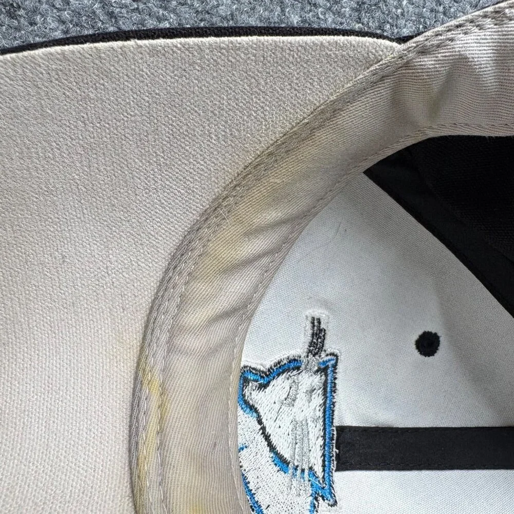 Vintage‎ Y2K Carolina Panthers Reebok NFL Baseball Cap Black Blue Hat Fan